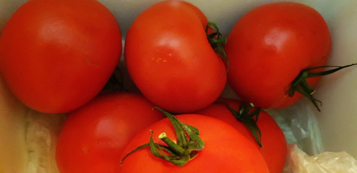 Bijna zoveel kabassen als tomaten